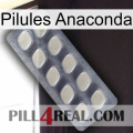 Anaconda Pills 08